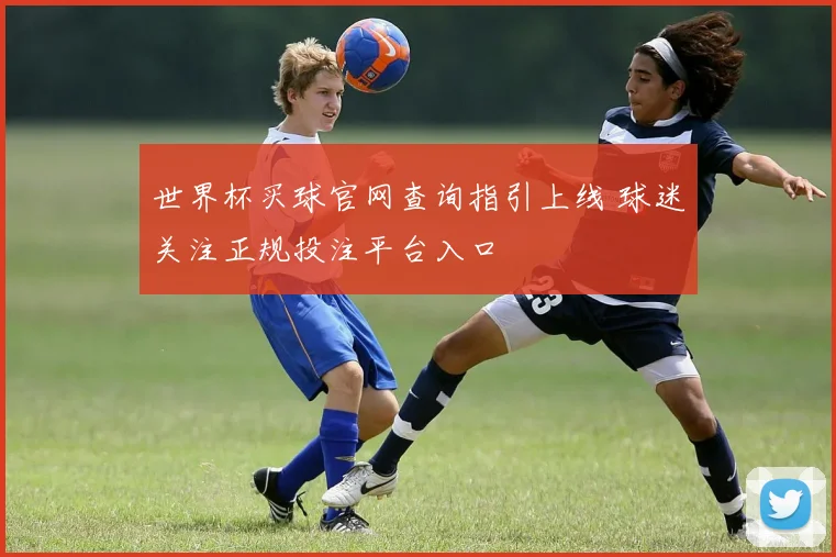 世界杯买球官网查询指引上线 球迷关注正规投注平台入口